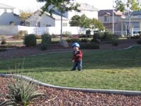 49-Kenny_found_his_way_to_the_grass_in_the_park