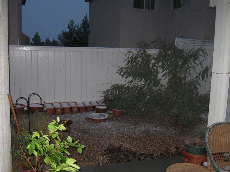 085-our_backyard