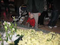 022-Kenny_and_headless_Daddy_at_Bellagio_Conservatory