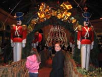 023-Bellagio_Conservatory_decorations_for_Christmas