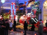 026-Bellagio_Conservatory_decorations_for_Christmas