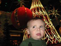 033-did_I_just_hear_Santa_land_on_the_roof