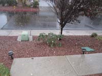 070-it's_snowing_harder-317pm