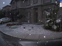 079-Kenny_and_snow_in_the_front_yard-417pm