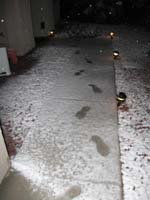 092-my_footsteps_in_the_snow
