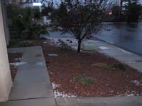 094-snow_melted_in_front_yard