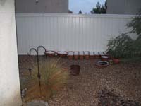 098-the_plants_got_a_lot_of_water-snow