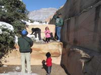 118-did_somebody_say_snowball_fight