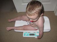 155-Kenny_is_now_31_pounds_12_ounce