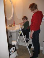 006-the_step_ladder_will_work_though