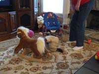 05-Kenny_getting_thrown_off_his_horsey