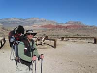 18-Kenny_checking_out_the_horsey