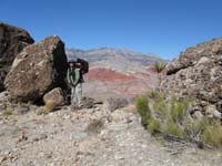 31-Daddy_Kenny_within_conglomerate_rocks_and_Calico_Hills_in_background