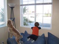 01-Kenny_and_Baxter_barking_at_the_garbage_men