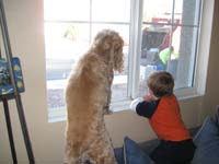 02-Kenny_and_Baxter_barking_at_the_garbage_men