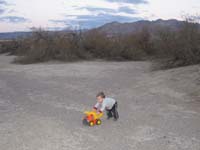 31-lots_of_open_space_for_Kenny_to_play_in_a_wash