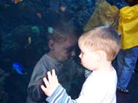 53-Kenny_looking_at_the_fishes