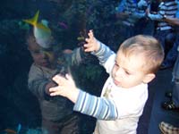 54-Kenny_looking_at_the_fishes