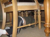 13-Kenny_heading_under_the_dining_room_table_to_get_his_ball