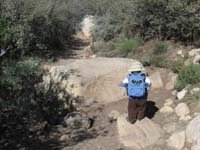 08-Kenny_walks_over_a_rock-he_walked_almost_half_the_trail_on_his_own-other_half_holding_Daddy's_finger