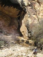 13-Kenny_and_Lost_Creek_Falls