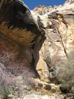 18-Lost_Creek_Falls-seasonal_waterfall