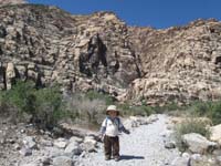 42-shot_looking_up_canyon