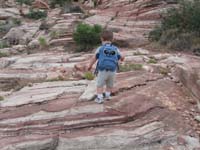 009-he_seems_to_be_scoping_out_his_next_move