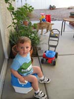 054-uh_why_is_there_a_poop_on_my_truck_when_I'm_trying_here