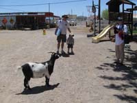 02-goat_greets_Daddy_Kenny_and_Amy_as_we_enter_for_Nick's_party