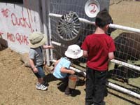 04-Kenny_watches_Sierra_and_Toby_feed_the_ponies