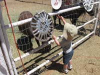 07-Kenny_feeding_the_ponies