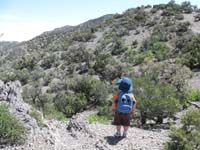 56-Kenny_contemplates_adventures_to_the_unknown-when_you_are_older_Kenny_Daddy_will_take_you