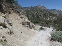 64-dirt_road_on_way_down_with_scenery