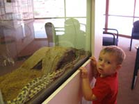 83-Kenny_checks_out_a_snake_at_the_visitor_center