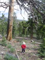 12-sick_of_the_trail_Kenny_heads_off_into_the_woods