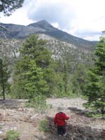 15-Daddy_tells_Kenny_at_this_point_to_stop_and_turn_around-no_need_to_go_into_the_canyon