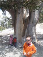 31-Toby_with_Sierra_and_Kenny_in_the_background