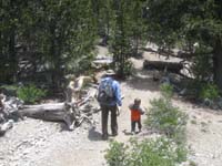 38-safer_area-Kenny_can_hike_on_his_own