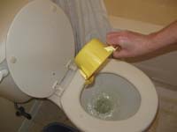42-then_we_show_him_to_put_the_pee_in_the_big_toilet