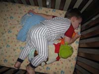 44-Shrek_is_a_favorite