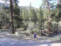 35-Kenny_at_the_parking_area_for_the_trail