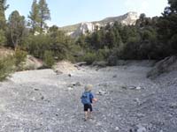 42-Kenny_hikes_up_a_wash