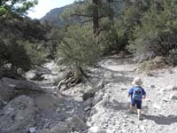 51-Kenny_along_the_trail_next_to_a_wash