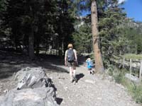 01-Little_Falls_trail_at_Mount_Charleston