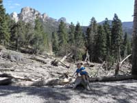 11-moods_of_Kenny_on_the_stump
