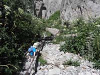 16-Kenny_making_his_way_up_the_trail
