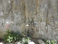 21-unfortunately_a_lot_of_graffiti