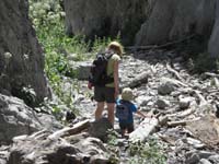 26-looking_for_a_shady_spot_for_a_snack