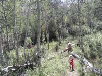 54-heading_off_into_the_woods_on_another_trail